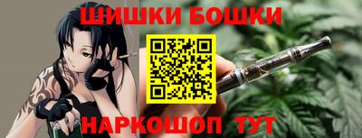 СК Дубна