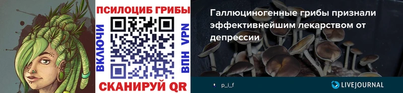 Галлюциногенные грибы Magic Shrooms  Серпухов 