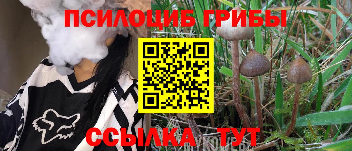Псилоцибиновые грибы Magic Shrooms  Псилоцибиновые грибы Cubensis  Серпухов  Вход с VPN 
